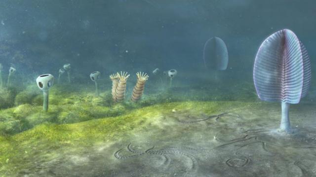 Ilustración del fondo marino del Cámbrico