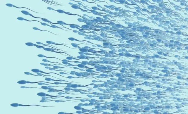 నిద్రలో స్కలనం, సంతానలేమి, వీర్యకణాలు