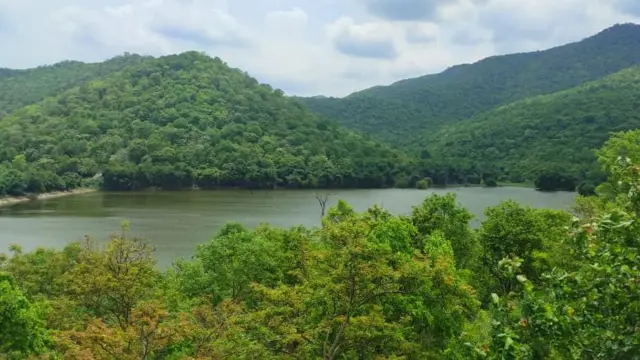 తెలంగాణ అడవులు