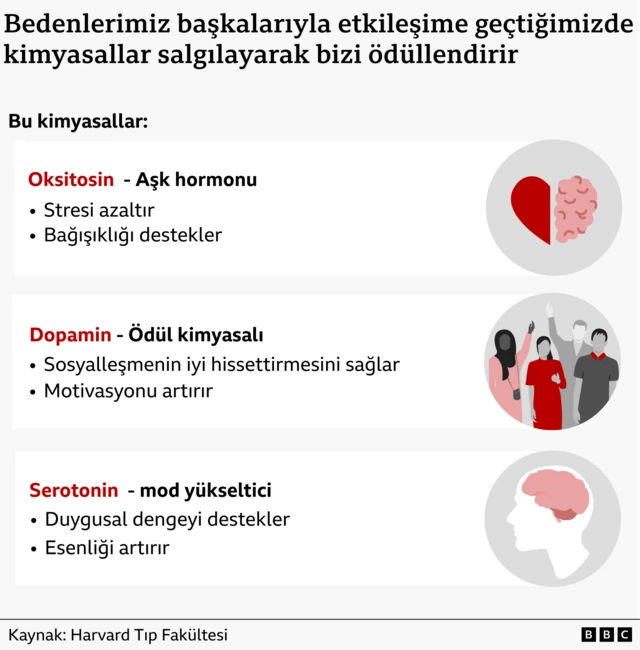 Sosyalleşmenin bedenimiz üstündeki etkilerini gösteren bir grafik