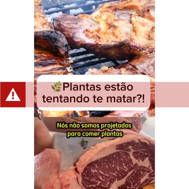 टिकटकबाट लिइएको स्क्रीनसट