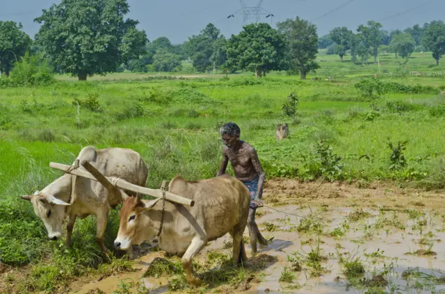 இந்திய விவசாயி
