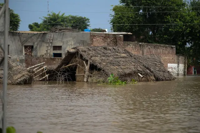 پاکستان کے صوبہ پنجاب کے حکام کے مطابق حالیہ بارشوں اور سیلاب سے سینکڑوں دیہات زیرِ آب آئے ہیں