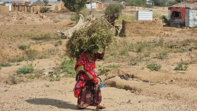 تلجأ بعض النساء في مخيمات النازحين شمالي اليمن للتسول كي توفر أبسط احتياجات عائلاتها من الغذاء