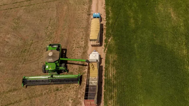 Уборка сои в Бразилии 4 марта 2026 года