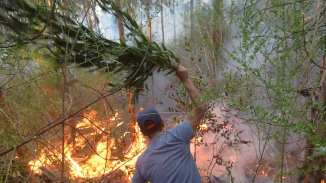 Incêndio florestal no Chile