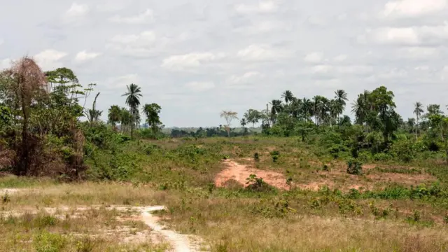 Ala tọgbọrọ n'efu