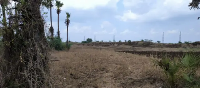 ఇళ్ల స్థలాలు