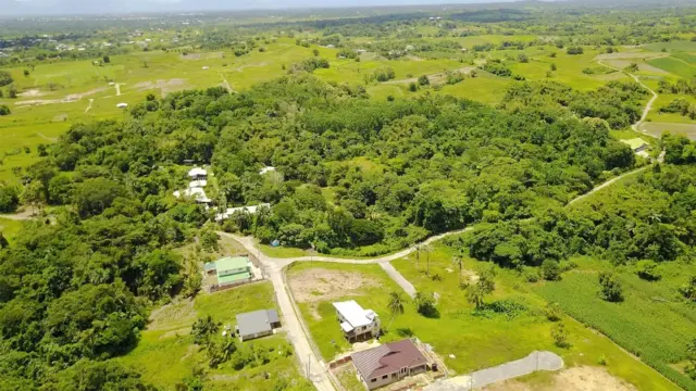 Casasa en un bosque
