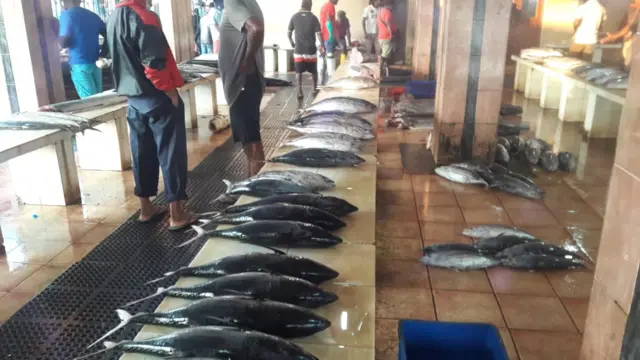 මීගමුව දූව මහලෙල්ලමට සහ මිගමුව මත්ස්‍ය වෙළඳපොලට මාළු මිලදී ගැනීම සදහා සිල්ලර වෙළදුන් සහ පාරිභෝගිකයින් විශාල පිරිසක් පැමිණියද, විදුලි බිල වැඩිමත් සමඟ එම පැමිණීම සියයට 70ත් 80ත් දක්වා අඩු වූ බව එහි වෙළෙන්දෝ බීබීසි සිංහල සේවයට පැවසූහ. 