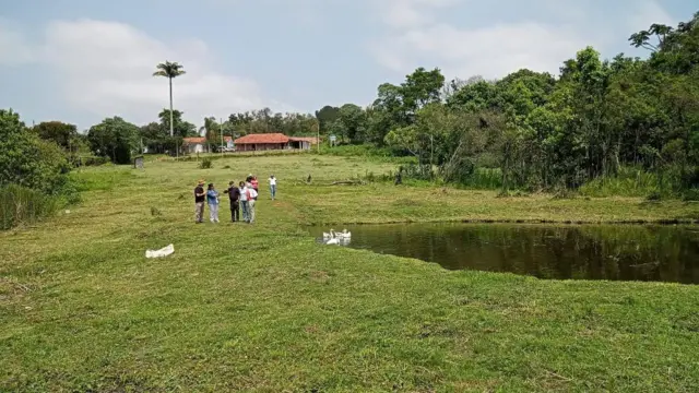 Pessoas em área verde