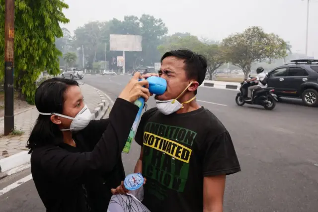 kebakaran hutan dan lahan 