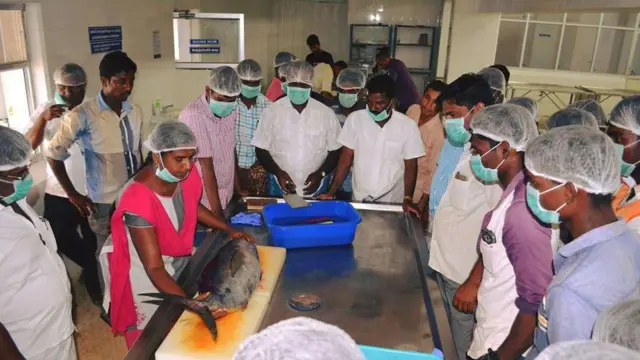 வேல்விழி, மீனவச் சமுதாயம்