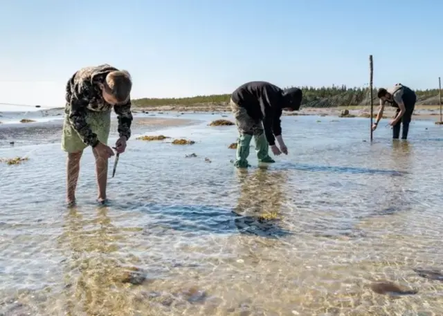 Adultes dans de l'eau