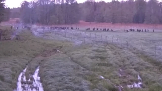 Скриншот из видеозаписи, опубликованной Погранслужбой Польши