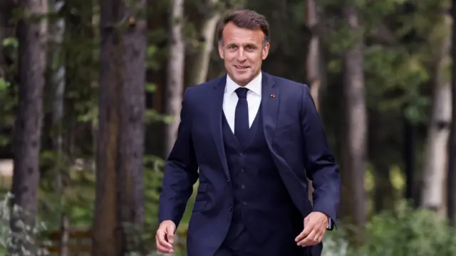 Макрон в лесу.