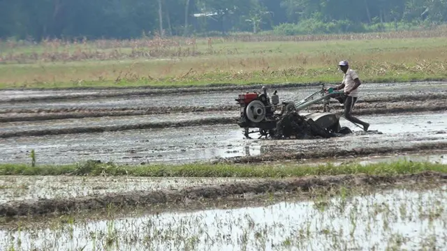 जग्गा वर्गीकरण गर्दा कृषि क्षेत्रका रूपमा छुट्ट्याइएको क्षेत्रलाई घडेरी बनाउन मिल्दैन 