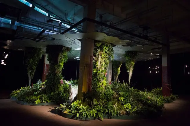 लोलाइन पार्क, न्यूयॉर्क