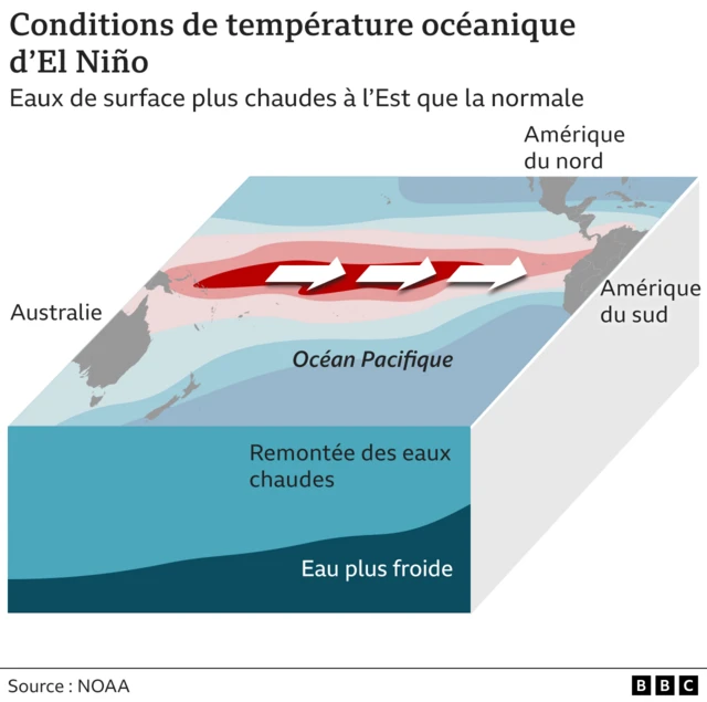 Infographie montrant comment, dans les conditions El Niño, les eaux de surface océaniques plus chaudes ont tendance à se trouver plus à l'est que d'habitude, dans une zone de l'océan Pacifique s'étendant de l'Australie et de la Papouasie-Nouvelle-Guinée à la côte ouest de l'Amérique du Sud et de l'Amérique centrale.