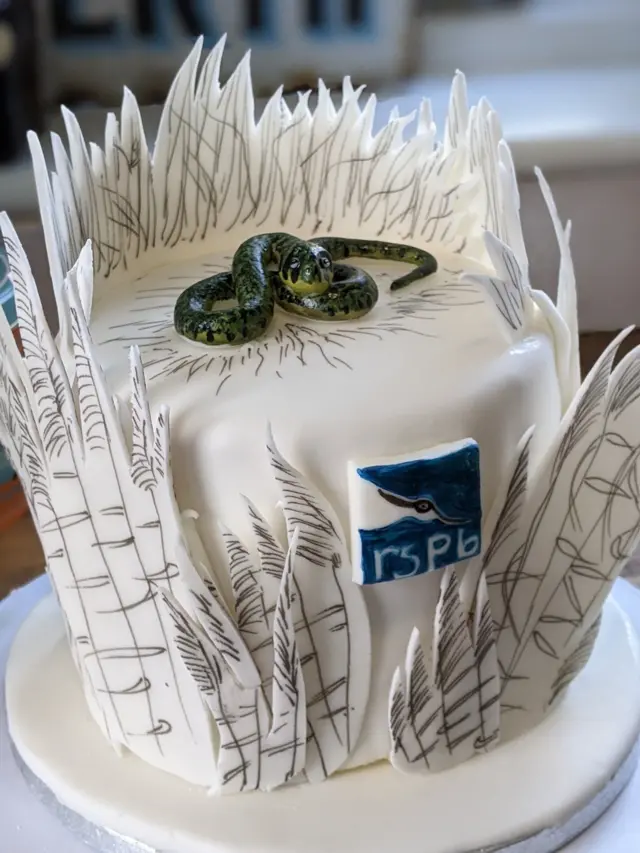 ሞዝማይቲ፡ ወዳ ንፈለማ እዋን ምስ ተመን ብዝነበሮ ተሞክሮ ተደፋፊኣ ዝሰኣለታ እያ።