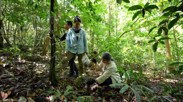 Pengumpulan sampel tanah kadang terkendala medan.