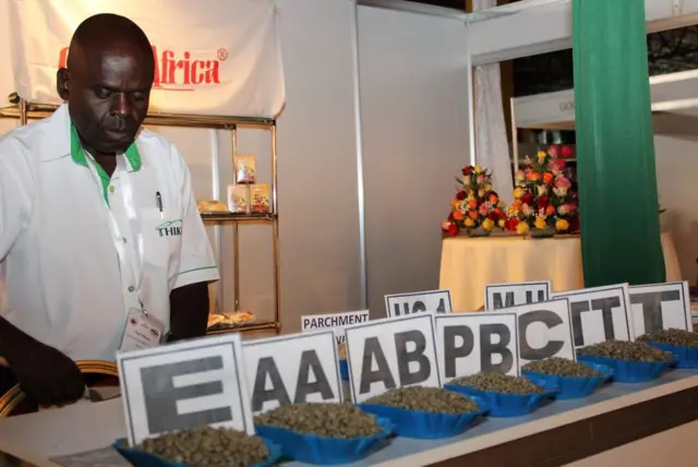 15ኛው የቡና ኮንፈረንስ