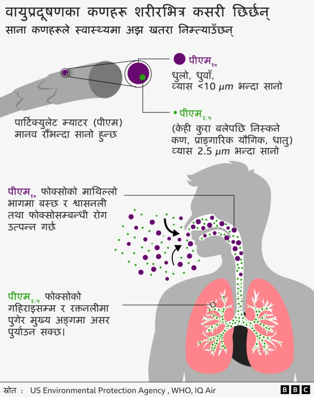 वायु प्रदूषणको असर