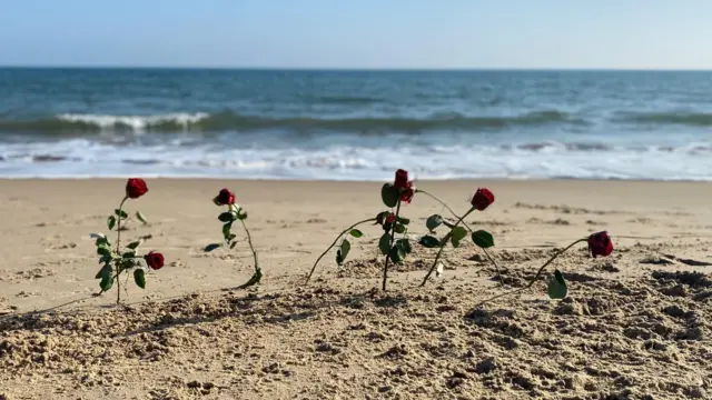 Рози на пляжі, де вбили Емі Грей 