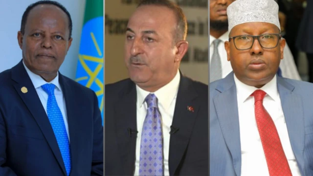 ሚኒስተራት ጉዳያት ወጻኢ፤ ኢትዮጵያ፡ ቱርኪን ሶማልያን