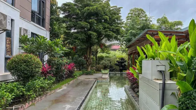 Jardim de uma residência em Shwe Kokko