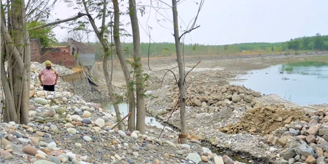 ਹਰਨੇਕ ਸਿੰਘ