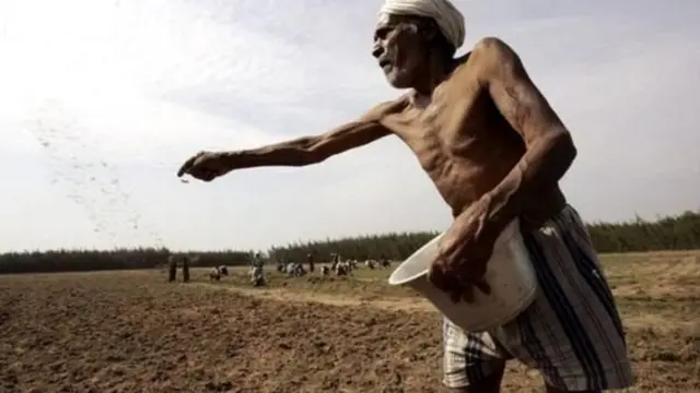 शेतकरी (संग्रहित छायाचित्र)