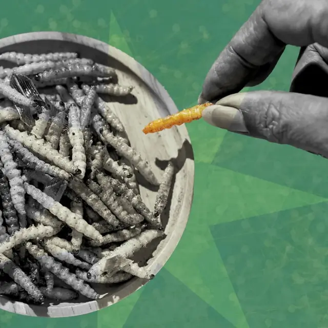 илустрација - рука узима једног инсекта из чиније пуне инсеката