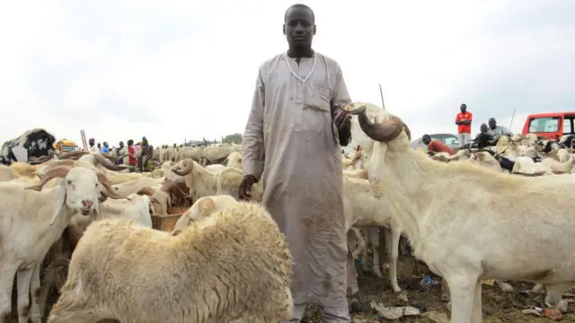 Mai sayar da dabbobi