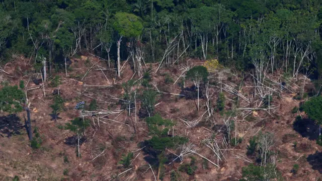 Uma área desmatada e queimada é vista na Floresta Nacional do Jamanxim, na Amazônia, perto de Novo Progresso, estado do Pará