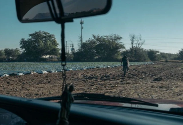 Les habitants assurent que chaque champ de culture a été conditionné à l'extorsion.