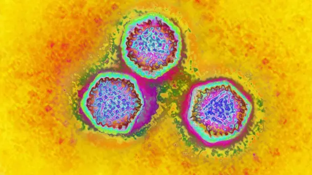 अ‍ॅडिनोव्हायरस 