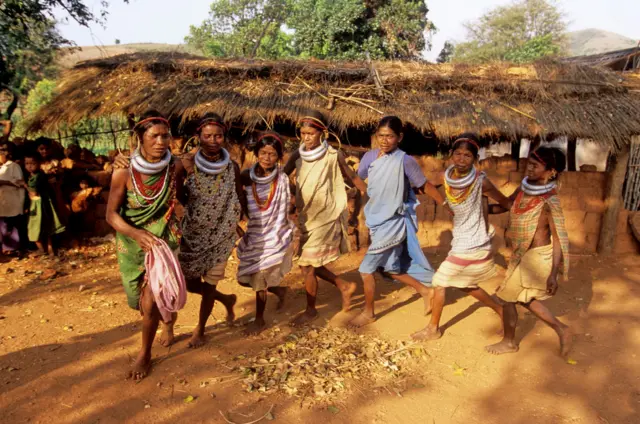 வன உரிமைச் சட்டம் பழங்குடிகளின் உரிமையை அங்கீகரிப்பதால் காடுகள் அழிகிறதா? உண்மை என்ன?