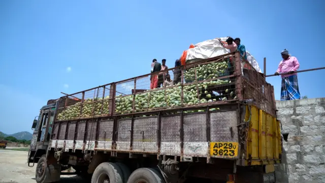 తోతాపురి