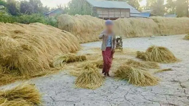 ဆရာမ ဘဝကနေ ကောက်လှိုင်းစည်းတွေကြား စပါးပုတ်တဲ့ အလုပ်သမားဖြစ်သွား