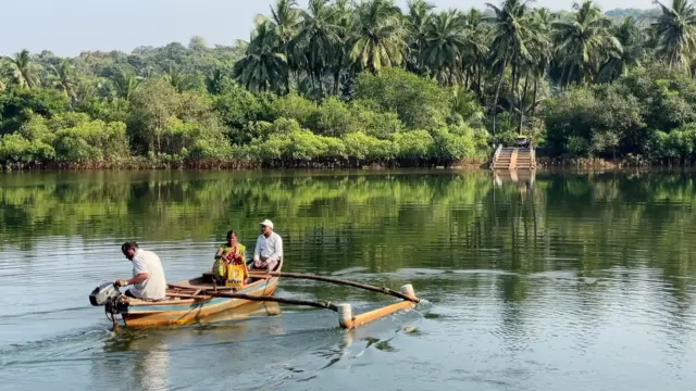 अर्जुना नदी