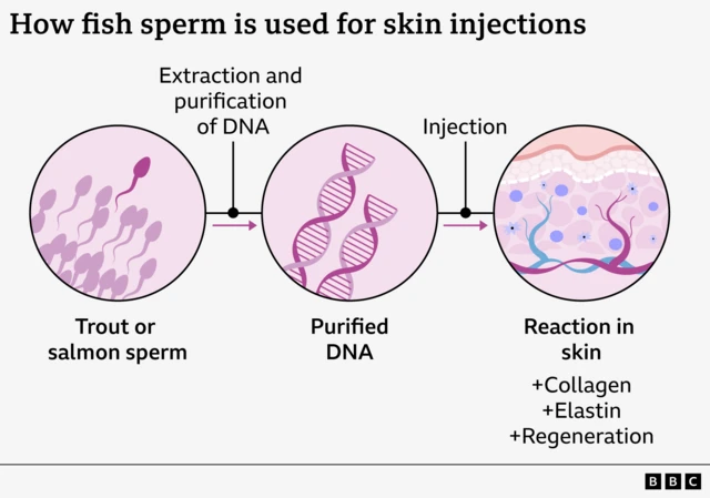 물고기 DNA 추출 과정 및 피부 내 잠재적 반응을 설명하는 그래픽