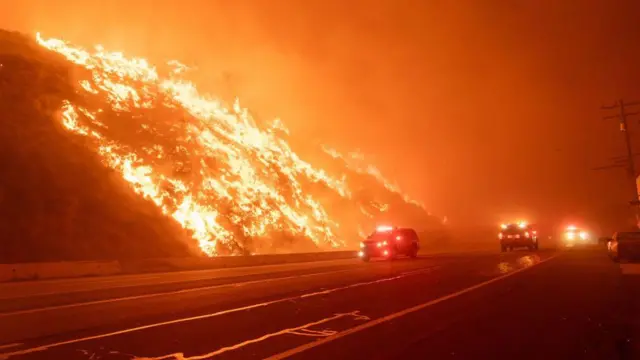 Лесные пожары в Лос-Анджелесе