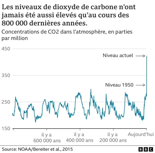 Graphique montrant les niveaux historiques de dioxyde de carbone dans l'atmosphère 