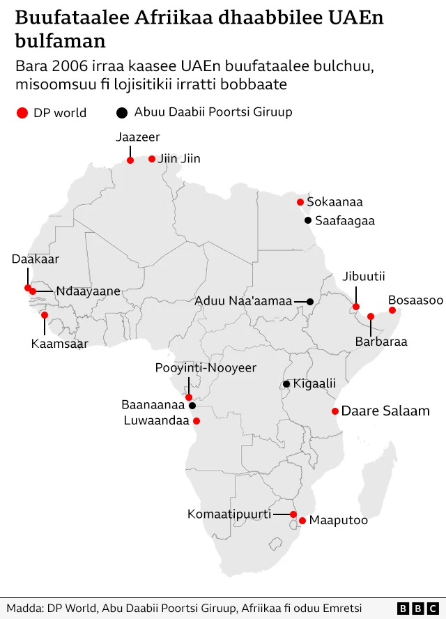 Maappii buufataalee afriikaa UAEn bulchiitu