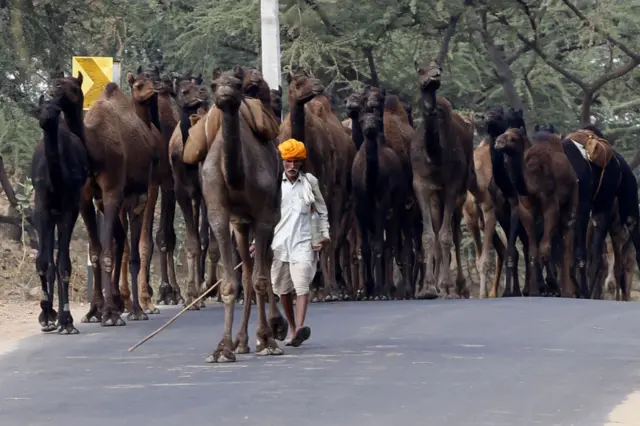 બીબીસી ગુજરાતી 