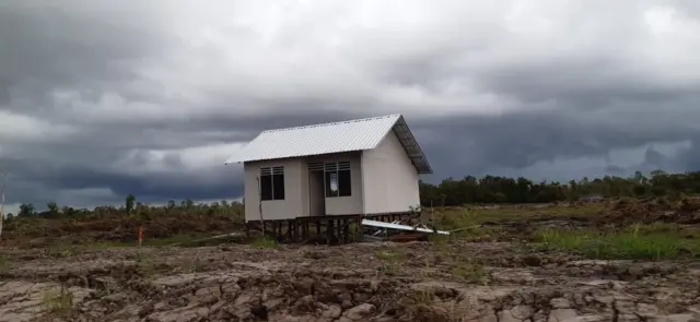 transmigran, Kalimantan