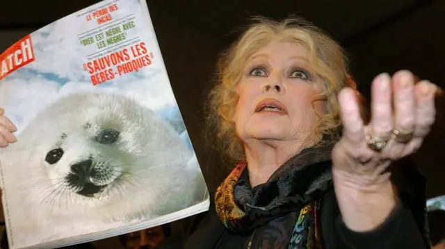 باردو چندین بار به دلیل نفرت نژادی جریمه شد