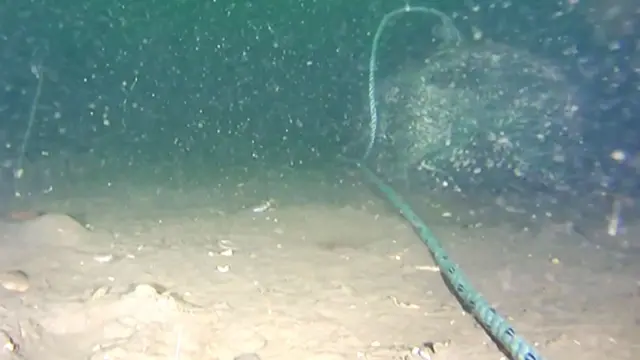 해저의 무거운 그물 밧줄