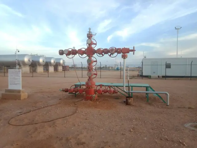 Jinsiy xotin va ikki tomonlama penetratsiya